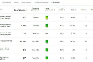 Статистика на Яндекс.Дзен — Метелица Анна Дмитриевна