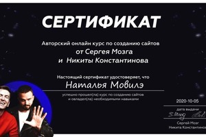 Диплом / сертификат №3 — Мовилэ Наталья Александровна