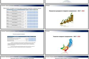 Стратегия развития предприятия — Мурашко Артем Андреевич