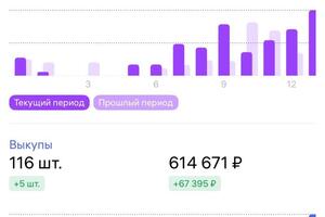 Пример статистики предпринимателя на маркетплейсе Wildberries моего клиента — Неменущая Дарья Александровна