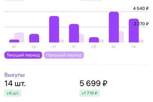 Пример статистики за неделю у небольшого предпринимателя на маркетплейсе Wildberries, с которым я занимаюсь — Неменущая Дарья Александровна