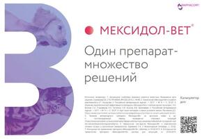 Дизайн буклета джи подготовка к печати 2 полосы, А5, в соответствии с имеющимся фирменным стилем — Петрова Анастасия Игоревна