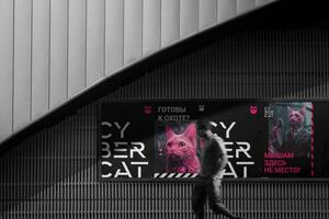 Cyber Cat постеры — Петухова Валерия Сергеевна