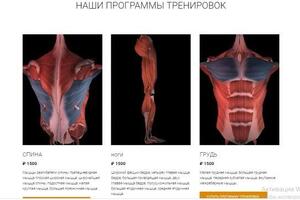 Разработка логотипа и сайта для бренда онлайн-тренировок \