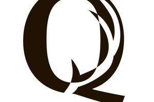 Q logo — Рябичкина Татьяна Владимировна