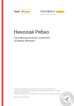 Сертифицированный специалист по Яндекс.Метрике — Рябко Николай Анатольевич