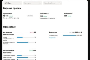 Авито. Кейс: Питомник кошек — Сидоров Михаил Анатольевич