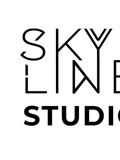 SKYLINE Studio — дизайнер, программист, маркетинг (Москва)