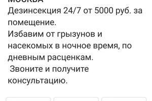 Аудит имеющегося аккаунта компании по Дезинфекции (ИП). Создание нового аккаунта: разработка нового дизайна, контент... — Сутурмин Максим Олегович