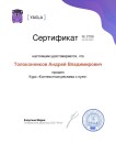 Диплом / сертификат №1 — Толоконников Андрей Владимирович