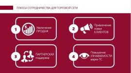 Вариант концепции презентации в фирменных цветах компании — Тонкая Анна Владимировна