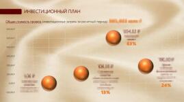 Разработка и презентация бизнес-плана по запуску нового продукта — Тонкая Анна Владимировна