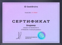 Диплом / сертификат №3 — Васильев Владимир Игоревич