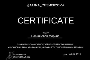 Диплом / сертификат №13 — Васильева Марина Игоревна