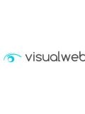 Visualweb — программист, копирайтер; работа с текстами (Москва)