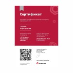 Диплом / сертификат №120 — Воротынцев Сергей Иванович