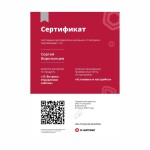 Диплом / сертификат №124 — Воротынцев Сергей Иванович