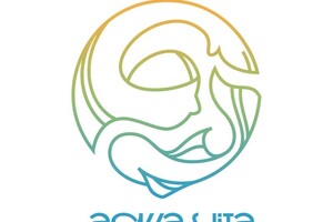 Апрельская Диана Александровна — Логотип для бассейна, совмещенного с аквариумом — Портфолио №4