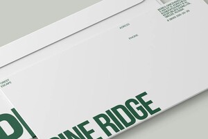 Горюнова Анна Витальевна — Портфолио №2