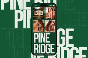 Горюнова Анна Витальевна — Портфолио №3