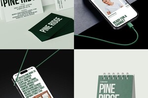 Горюнова Анна Витальевна — Портфолио №4