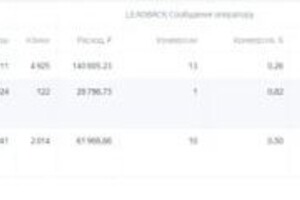 Митин Юрий Сергеевич — Кейс: Механическая штукатурка Москва и МО. Настроили и запустили эффективную поисковую кампанию и РСЯ. Проработали... — Портфолио №9