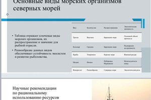 Шмелева Арина Леонидовна — Портфолио №2