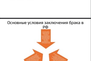 Шмелева Арина Леонидовна — Портфолио №3