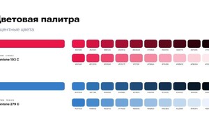 Брендбук для футбольного клуба — Баженов Степан Алексеевич