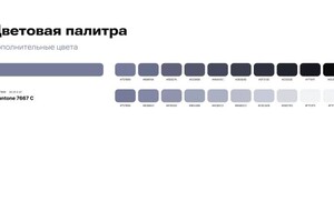 Брендбук для футбольного клуба — Баженов Степан Алексеевич