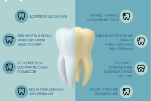 Портфолио №12 — Бырыкина Анастасия Владиславовна