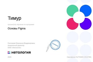 Диплом / сертификат №1 — Глухов Тимур Дмитриевич