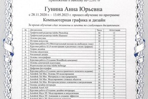 Диплом / сертификат №1 — Гунина Анна Юрьевна