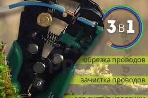 Портфолио №4 — Суслова Дарья Альбертовна