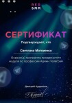 Диплом / сертификат №13 — Матвиенко Светлана Юрьевна