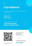 Диплом / сертификат №2 — Троеглазов Дмитрий Андреевич