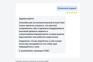 Онлайн-сервис (SAAS) для сбора и анализа отзывов в сфере услуг — Вадимович Матюхин Александр