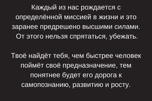 Ниша: таро; Оформление сторис — Сверчкова Валерия Викторовна