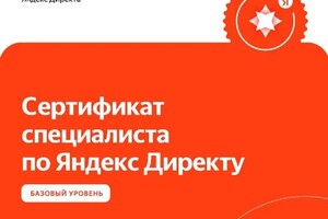 Диплом / сертификат №2 — Николаев Денис Васильевич
