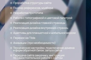 Ахметзянова Алиса Олеговна — Портфолио №2