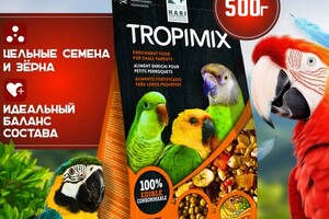 Андреева Кристина Александровна — Портфолио №4