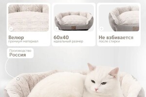 Андреева Кристина Александровна — Портфолио №6