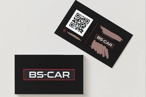 Багиева Елизавета Артуровна — Портфолио №4