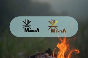 Баранова Яна Сергеевна — Разработка логотипа — Портфолио №6