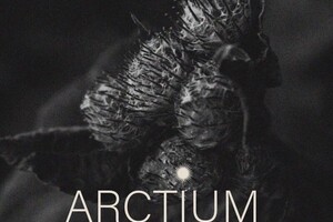 Блок Евгения Олеговна — Логотип ARCTIUM косметика для волос — Портфолио №96