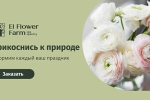 Бодолан Наталья Алексеевна — Баннер для VK 1080x607 — Портфолио №7