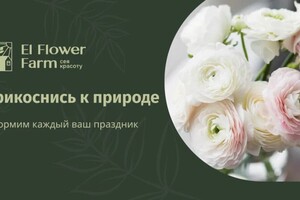 Бодолан Наталья Алексеевна — Баннер для VK 1080x607 — Портфолио №8