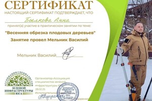 Былкова Анна Александровна — Диплом / сертификат №2