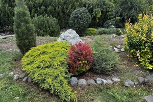 Былкова Анна Александровна — После — Портфолио №10