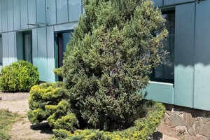 Былкова Анна Александровна — Стало — Портфолио №2